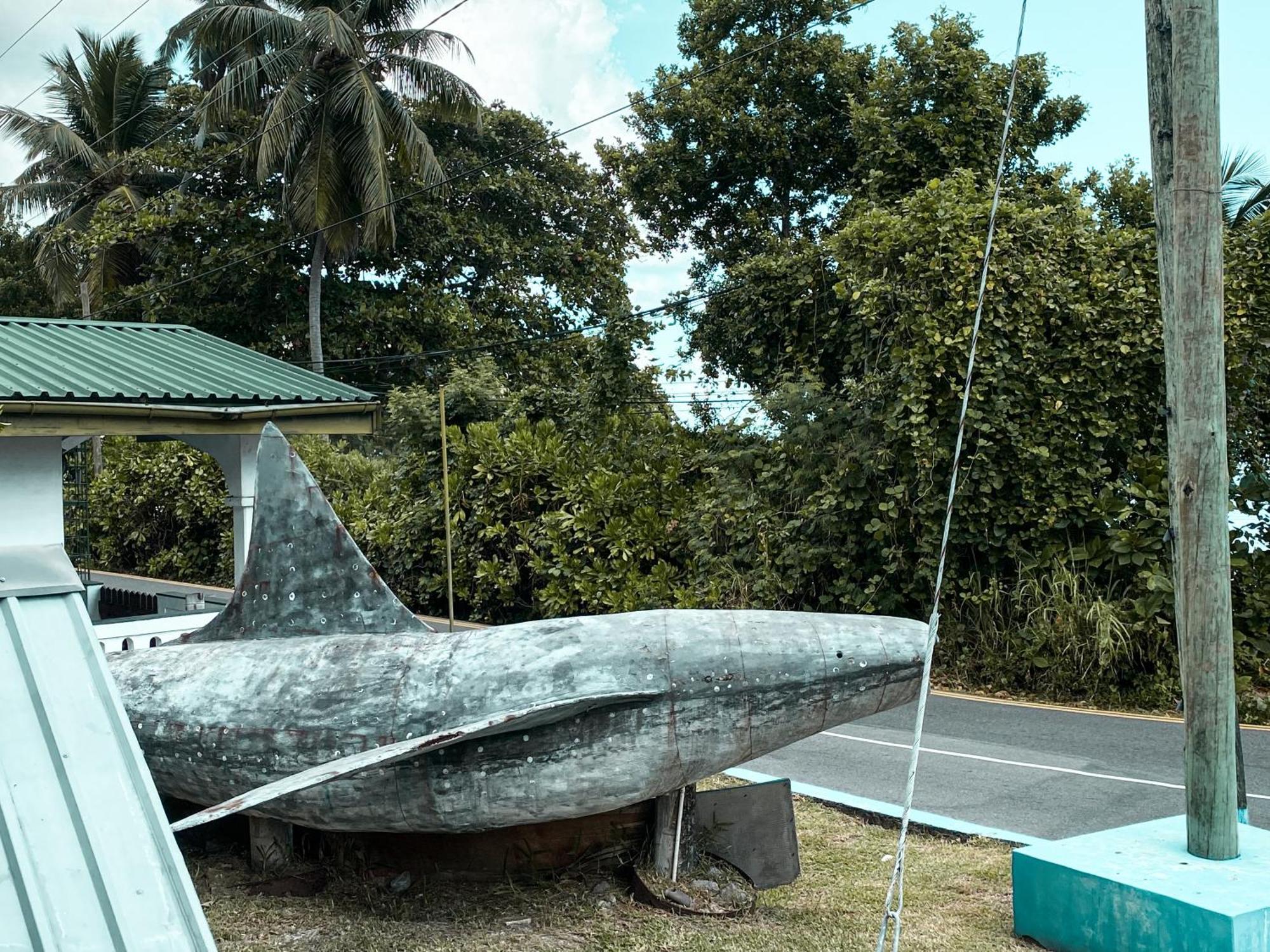Divers Lodge Guest House Beau Vallon  Exterior foto