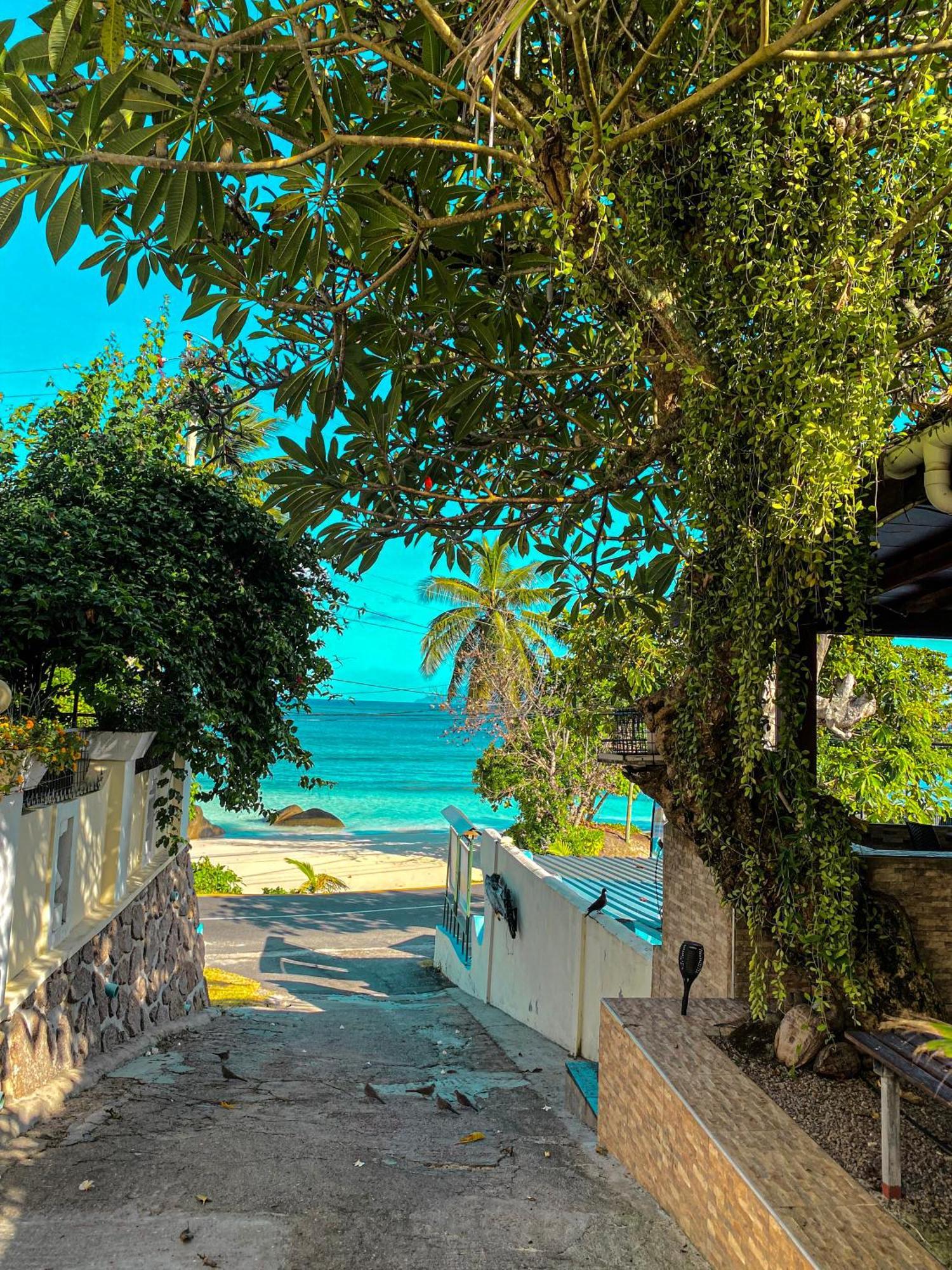 Divers Lodge Guest House Beau Vallon  Exterior foto